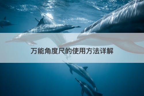 万能角度尺的使用方法详解