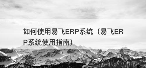 如何使用易飞ERP系统（易飞ERP系统使用指南）
