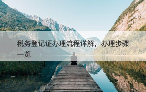税务登记证办理流程详解，办理步骤一览