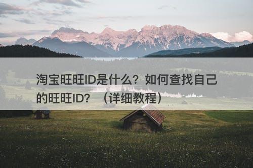 淘宝旺旺ID是什么？如何查找自己的旺旺ID？（详细教程）
