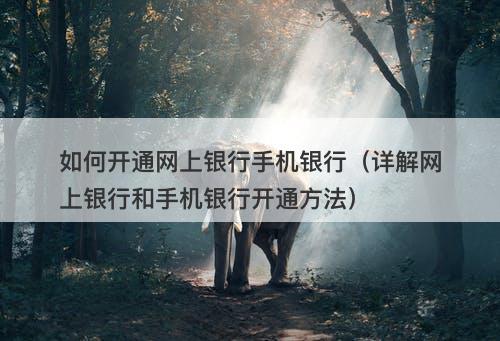 如何开通网上银行手机银行（详解网上银行和手机银行开通方法）