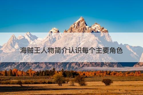 海贼王人物简介认识每个主要角色