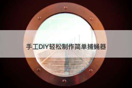 手工DIY轻松制作简单捕蝇器