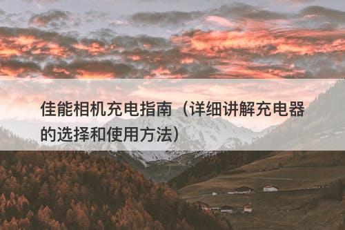 佳能相机充电指南（详细讲解充电器的选择和使用方法）