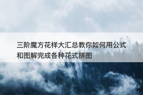 三阶魔方花样大汇总教你如何用公式和图解完成各种花式拼图