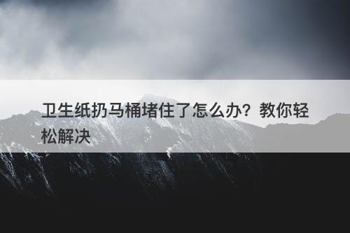 卫生纸扔马桶堵住了怎么办？教你轻松解决