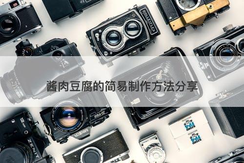 酱肉豆腐的简易制作方法分享