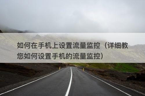 如何在手机上设置流量监控（详细教您如何设置手机的流量监控）