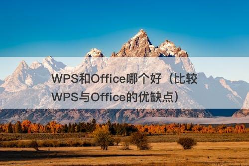 WPS和Office哪个好（比较WPS与Office的优缺点）