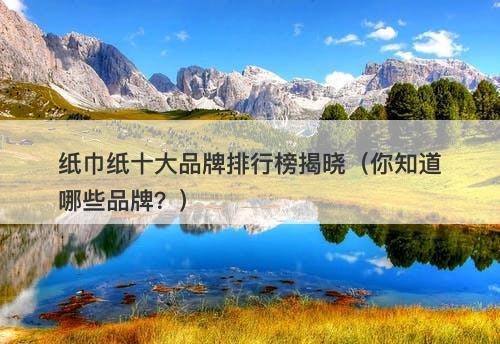 纸巾纸十大品牌排行榜揭晓（你知道哪些品牌？）