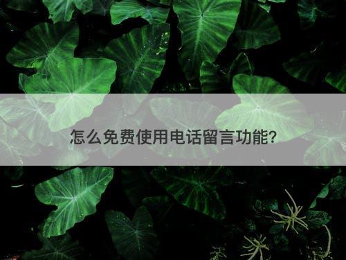 怎么免费使用电话留言功能？-图1