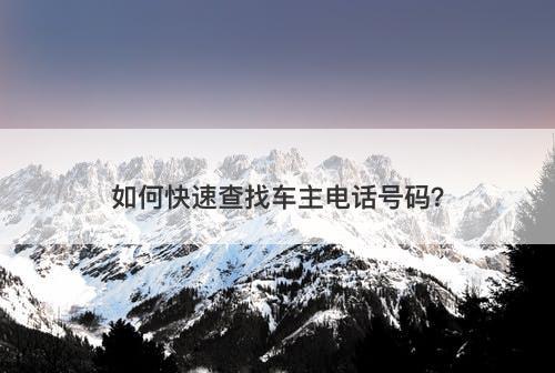 如何快速查找车主电话号码？