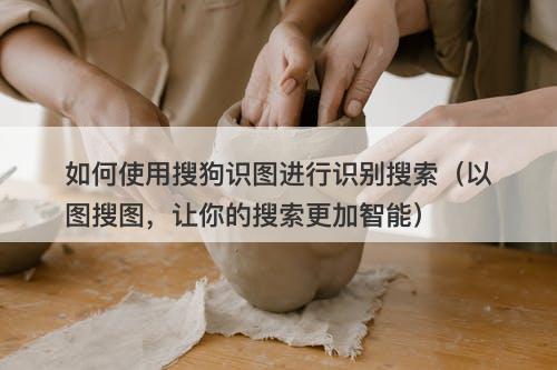 如何使用搜狗识图进行识别搜索（以图搜图，让你的搜索更加智能）