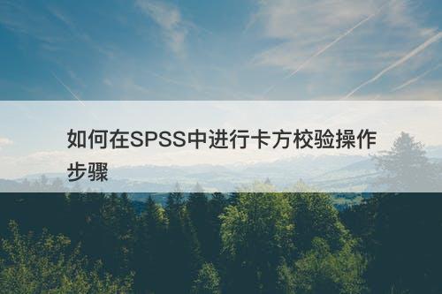 如何在SPSS中进行卡方校验操作步骤