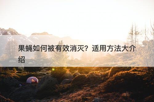 果蝇如何被有效消灭？适用方法大介绍