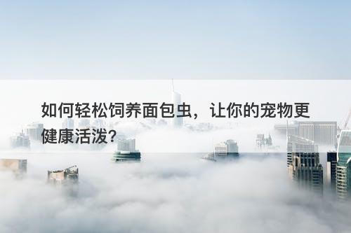 如何轻松饲养面包虫，让你的宠物更健康活泼？