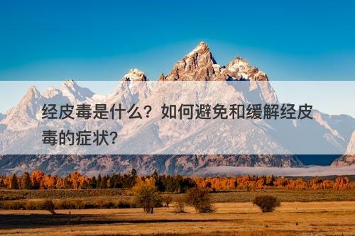 经皮毒是什么？如何避免和缓解经皮毒的症状？