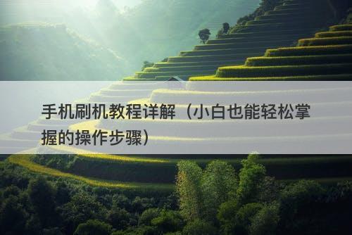 手机刷机教程详解（小白也能轻松掌握的操作步骤）