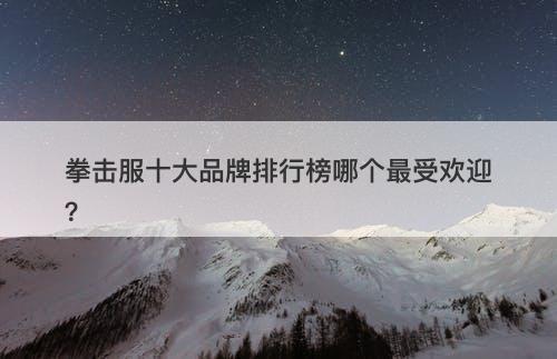 拳击服十大品牌排行榜哪个最受欢迎？