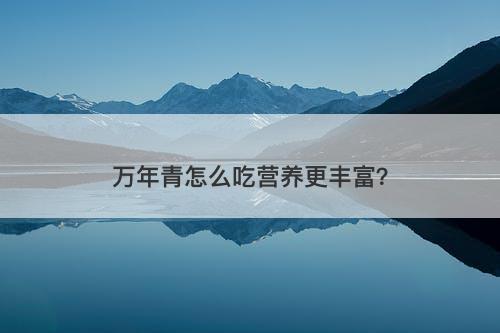 万年青怎么吃营养更丰富？