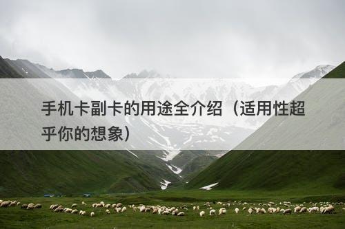 手机卡副卡的用途全介绍（适用性超乎你的想象）