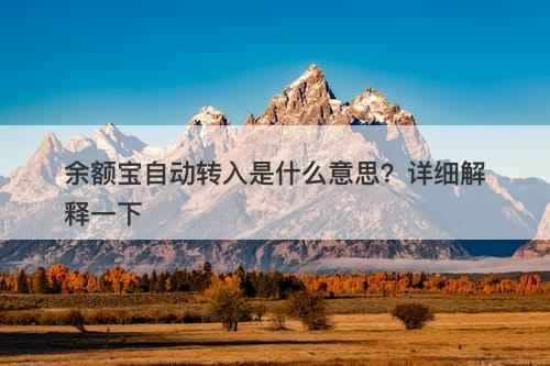 余额宝自动转入是什么意思？详细解释一下