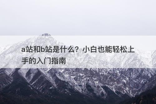 a站和b站是什么？小白也能轻松上手的入门指南