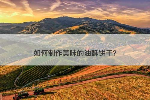 如何制作美味的油酥饼干？