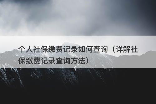 个人社保缴费记录如何查询（详解社保缴费记录查询方法）
