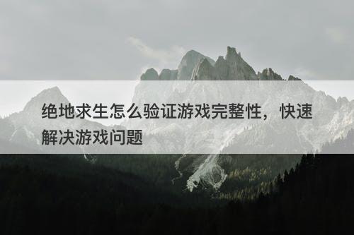 绝地求生怎么验证游戏完整性，快速解决游戏问题