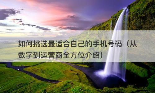 如何挑选最适合自己的手机号码（从数字到运营商全方位介绍）