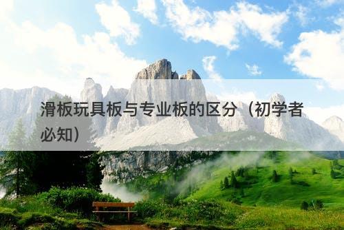 滑板玩具板与专业板的区分（初学者必知）