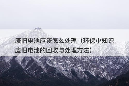 废旧电池应该怎么处理（环保小知识废旧电池的回收与处理方法）