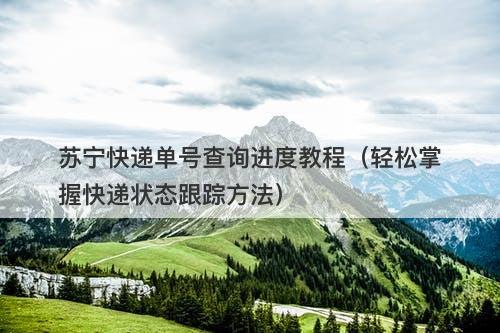 苏宁快递单号查询进度教程（轻松掌握快递状态跟踪方法）