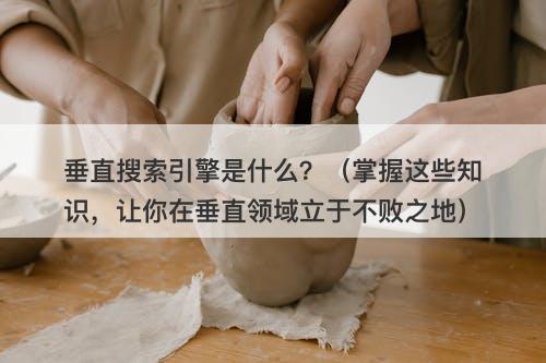 垂直搜索引擎是什么？（掌握这些知识，让你在垂直领域立于不败之地）