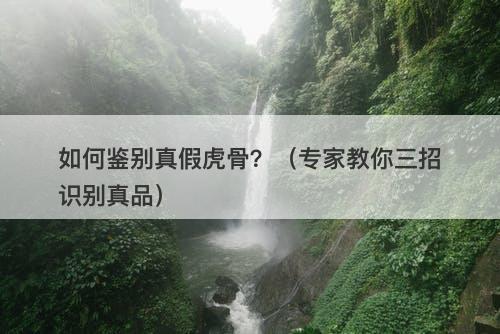 如何鉴别真假虎骨？（专家教你三招识别真品）
