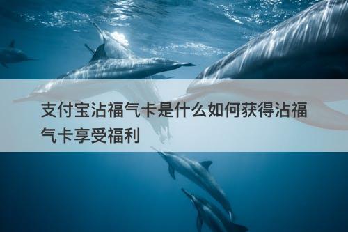 支付宝沾福气卡是什么如何获得沾福气卡享受福利