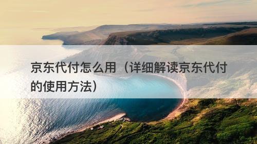 京东代付怎么用（详细解读京东代付的使用方法）