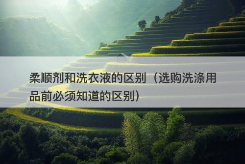 柔顺剂和洗衣液的区别（选购洗涤用品前必须知道的区别）