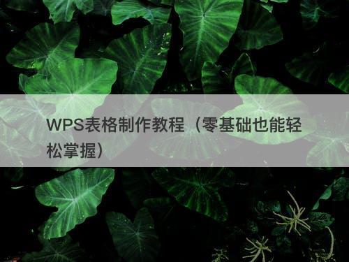 WPS表格制作教程（零基础也能轻松掌握）