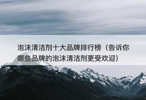 泡沫清洁剂十大品牌排行榜（告诉你哪些品牌的泡沫清洁剂更受欢迎）