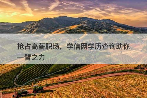 抢占高薪职场，学信网学历查询助你一臂之力