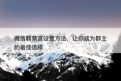 微信群禁言设置方法，让你成为群主的最佳选择