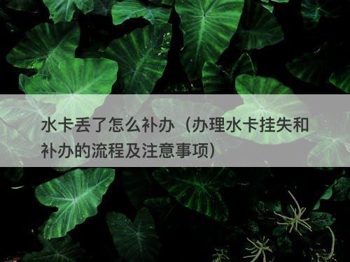 水卡丢了怎么补办（办理水卡挂失和补办的流程及注意事项）