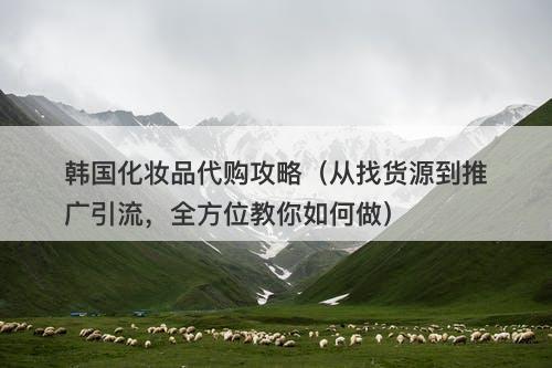 韩国化妆品代购攻略（从找货源到推广引流，全方位教你如何做）