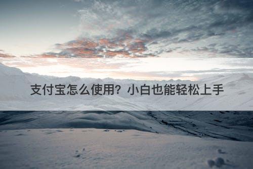 支付宝怎么使用？小白也能轻松上手