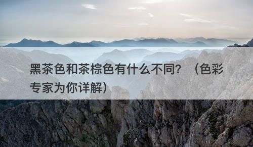 黑茶色和茶棕色有什么不同？（色彩专家为你详解）