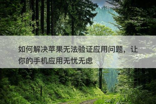 如何解决苹果无法验证应用问题，让你的手机应用无忧无虑