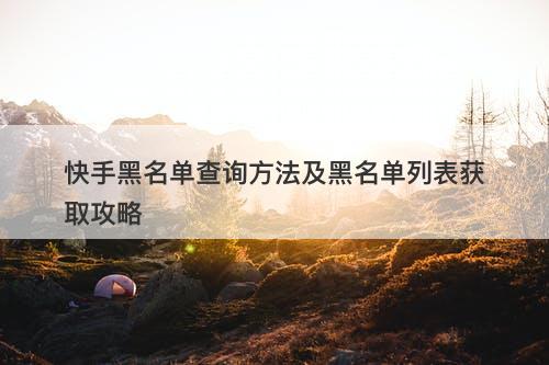 快手黑名单查询方法及黑名单列表获取攻略