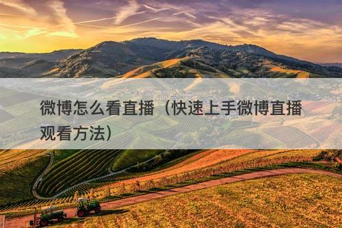 微博怎么看直播（快速上手微博直播观看方法）